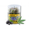 Sucettes Blueberry Haze x10 | Multitrance