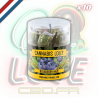 Sucettes Blueberry Haze x10 | Multitrance