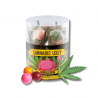 Sucettes Bubblegum x10 | Multitrance