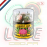 Sucettes Bubblegum x10 | Multitrance