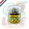 Sucettes Energy Skunk x10 | Multitrance Sucettes Energy Skunk x10 | Multitrance