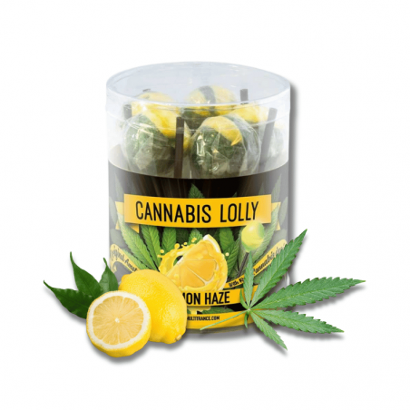 Sucettes Lemon Haze x10 | Multitrance Sucettes Lemon Haze x10 | Multitrance