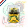 Sucettes Lemon Haze x10 | Multitrance Sucettes Lemon Haze x10 | Multitrance