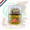 Sucettes Strawberry Haze x10 | Multitrance