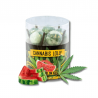 Sucettes Watermelon Kush x10 | Multitrance
