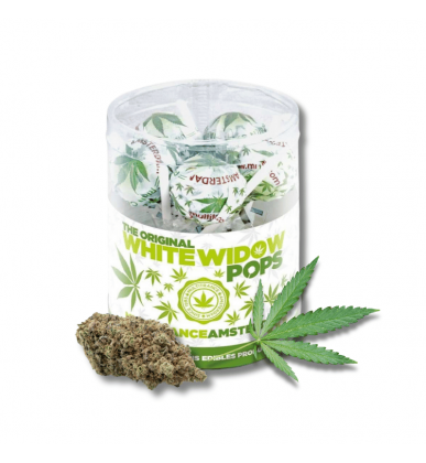 Sucette One Love CBD