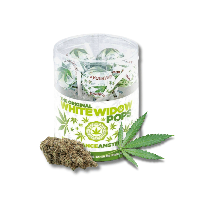 Sucettes White Widow x10 | Multitrance