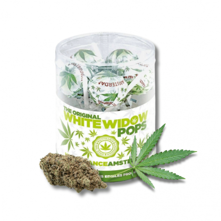 Sucettes White Widow x10 | Multitrance Sucettes White Widow x10 | Multitrance