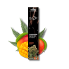 Bâtons d'encens Cannabis Mango Kush x15 | Haze