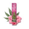 Bâtons d'encens Dry Cannabis Leaves & Bubblegum x15 | Multitrance