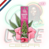 Bâtons d'encens Dry Cannabis Leaves & Bubblegum x15 | Multitrance