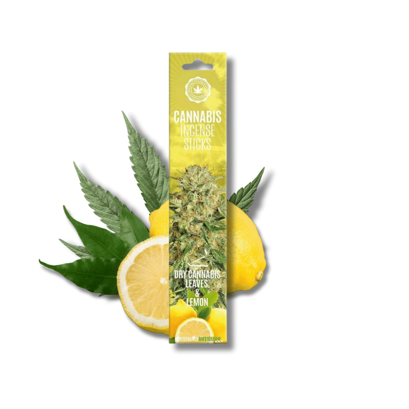 Bâtons d'encens Dry Cannabis Leaves & Lemon x15 | Multitrance