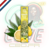 Bâtons d'encens Dry Cannabis Leaves & Lemon x15 | Multitrance