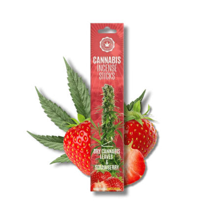 Bâtons d'encens Dry Cannabis Leaves & Strawberry x15 | Multitrance Bâtons d'encens Dry Cannabis Leaves & Strawberry x15 | Multitrance
