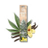 Bâtons d'encens Dry Cannabis Leaves & Vanilla x15 | Multitrance