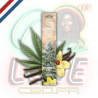 Bâtons d'encens Dry Cannabis Leaves & Vanilla x15 | Multitrance