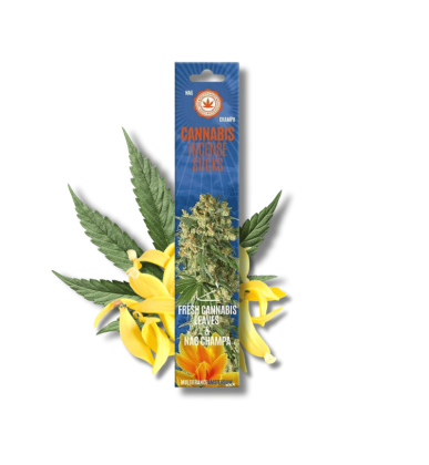 Encens One Love CBD