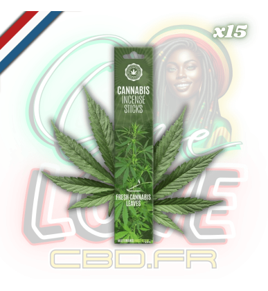 Bâtons d'encens Fresh Cannabis Leaves x15 | Multitrance