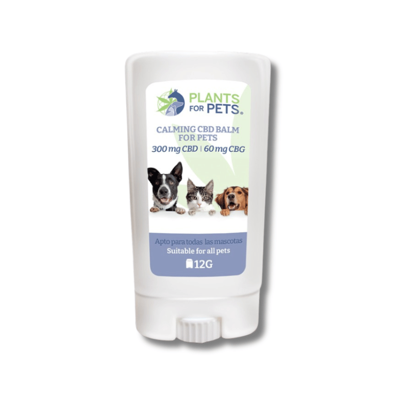 Baume CBD & CBG animaux apaisant | 360mg | Plant for Pets