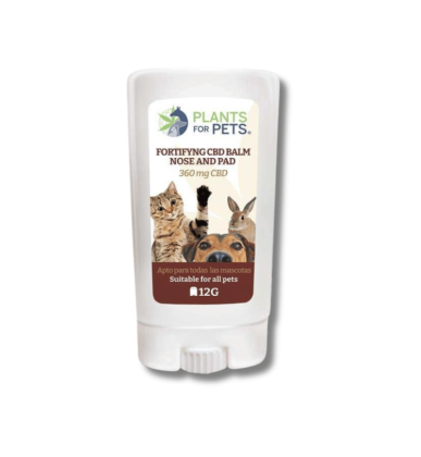 Animaux One Love CBD