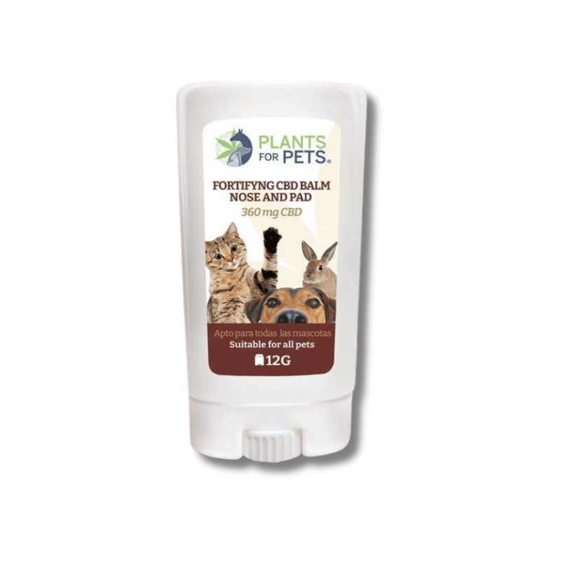 Baume CBD animaux fortifiant | 360mg | Plant for Pets