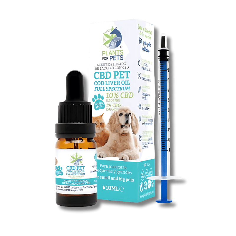 Huile CBD & CBG pour Animaux | 11% | Plant for Pets