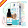 Huile CBD & CBG pour Animaux | 11% | Plant for Pets