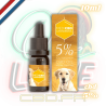 Huile CBD pour Chien | 5% | MediCBD Huile CBD pour Chien | 5% | MediCBD