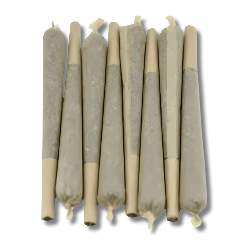 Pre-rolls CBD Amnésia Haze x50 | 3% | 