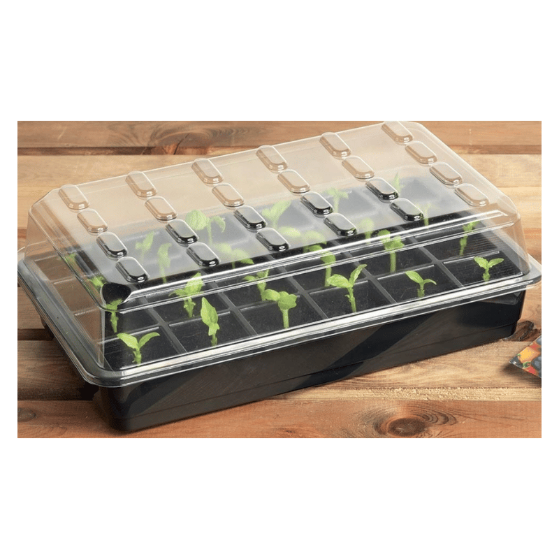 Kit croissance 24 cellules | Garland